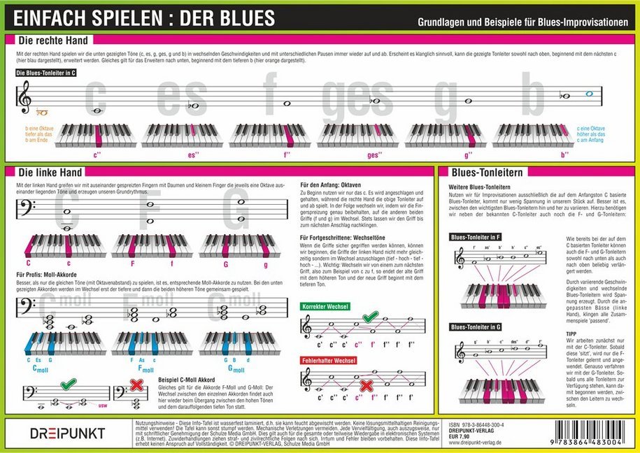 Cover: 9783864483004 | Einfach Spielen: Der Blues, Infotafel | Michael Schulze | 2 S. | 2015