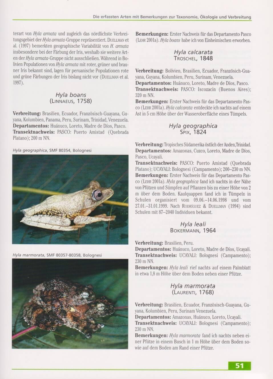 Bild: 9783931587680 | Amphibien und Reptilien in Peru | Edgar Lehr | Buch | NTV Wissenschaft
