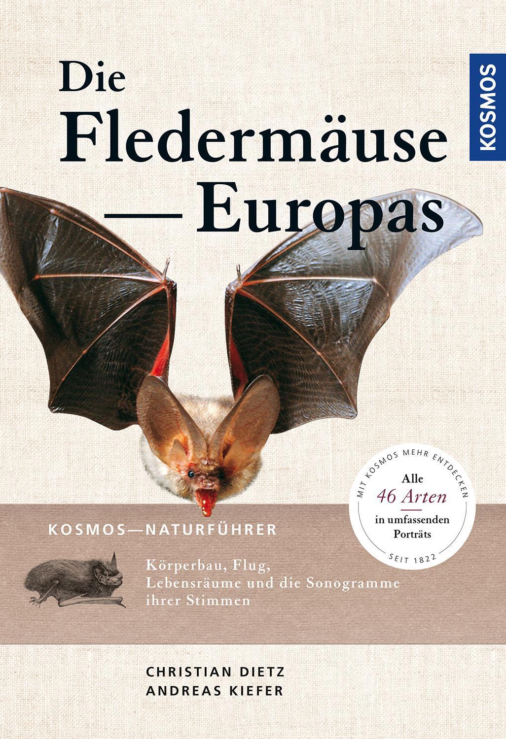 Cover: 9783440167540 | Naturführer Fledermäuse Europas | Christian Dietz (u. a.) | Buch