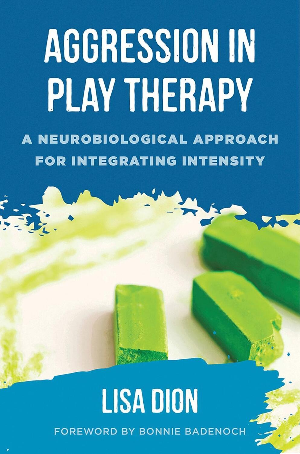 Cover: 9780393713190 | Aggression in Play Therapy: A Neurobiological Approach for...