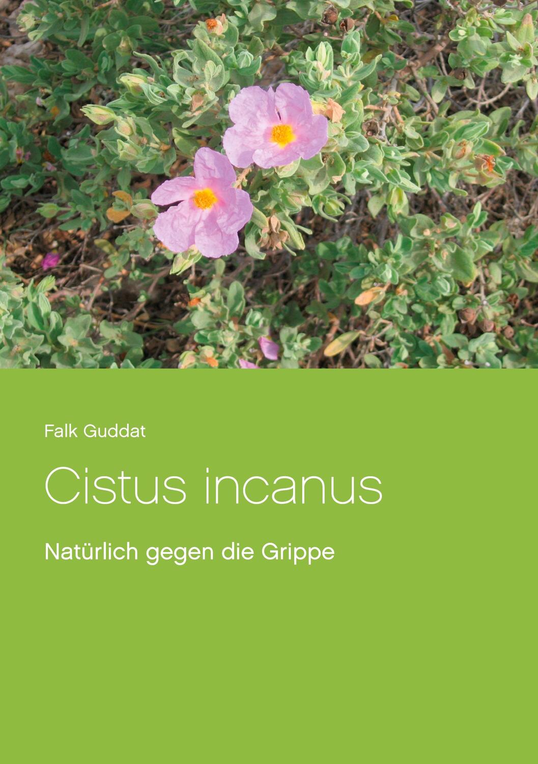 Cover: 9783753455334 | Cistus incanus | Natürlich gegen die Grippe | Falk Guddat | Buch