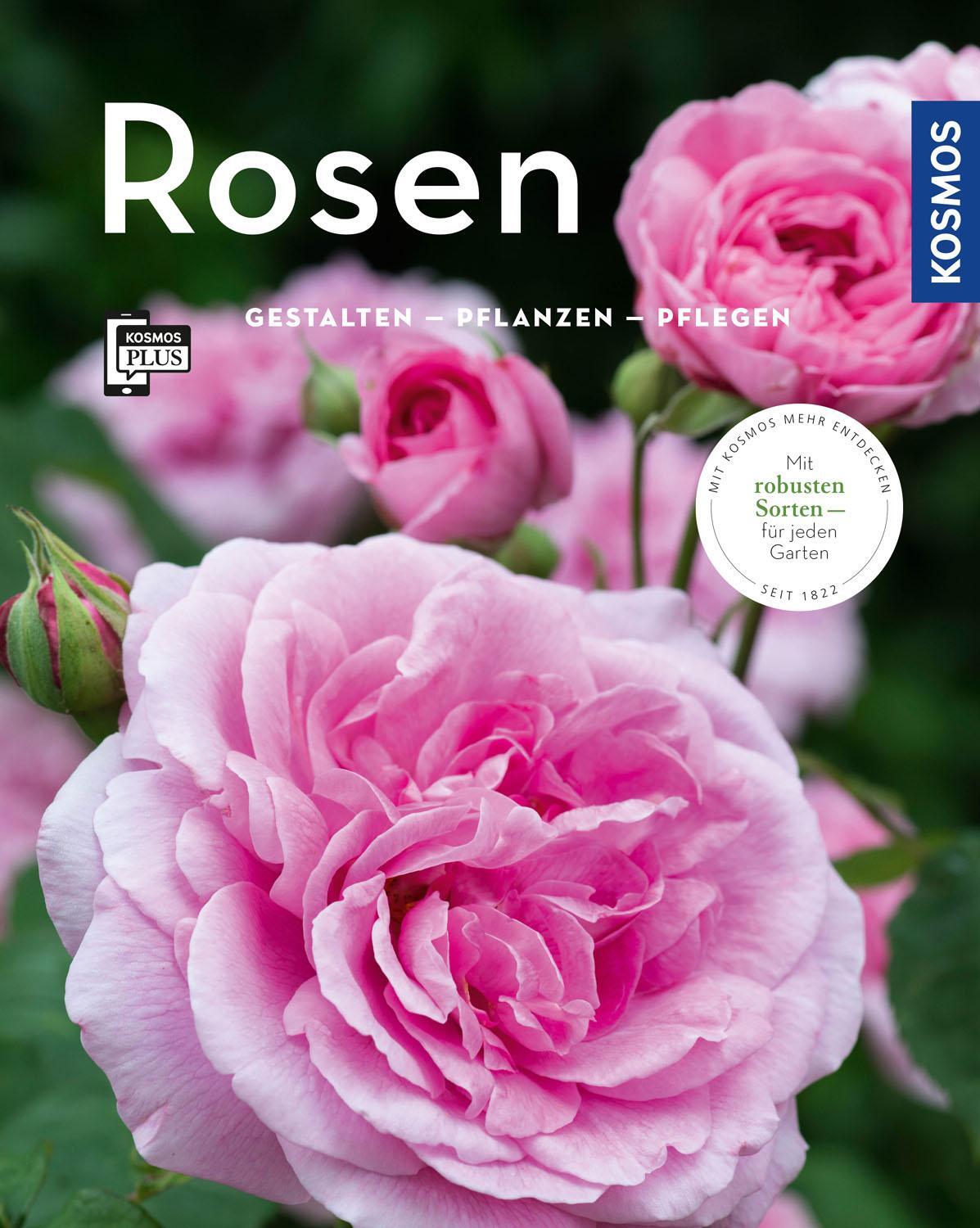Cover: 9783440163993 | Rosen (Mein Garten) | Gestalten - Pflanzen - Pflegen | Proll (u. a.)