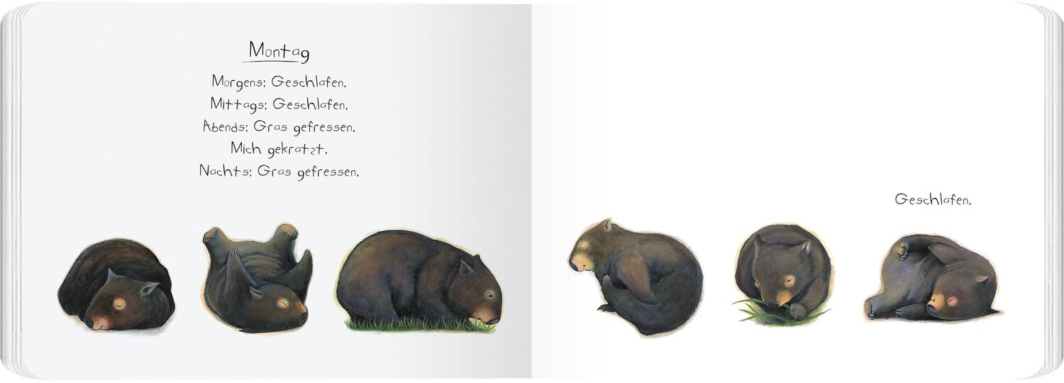 Bild: 9783836961660 | Tagebuch eines Wombat | Pappbilderbuch | Jackie French | Buch | 2022