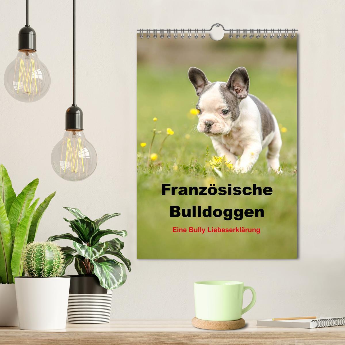 Bild: 9783457063538 | Französische Bulldoggen - Eine Bully Liebeserkärung (Wandkalender...