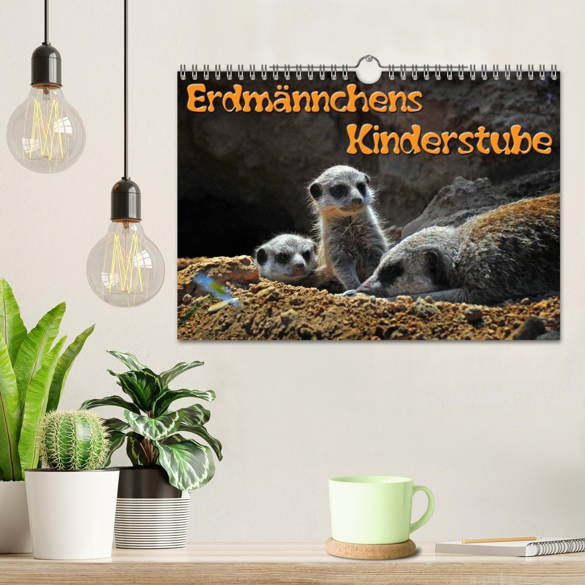 Bild: 9783435593569 | Erdmännchens Kinderstube (Wandkalender 2025 DIN A4 quer), CALVENDO...