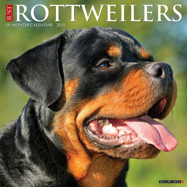 Cover: 9781549244698 | Just Rottweilers 2025 12 X 12 Wall Calendar | Willow Creek Press