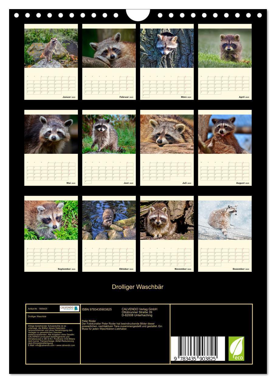 Bild: 9783435903825 | Drolliger Waschbär (Wandkalender 2025 DIN A4 hoch), CALVENDO...