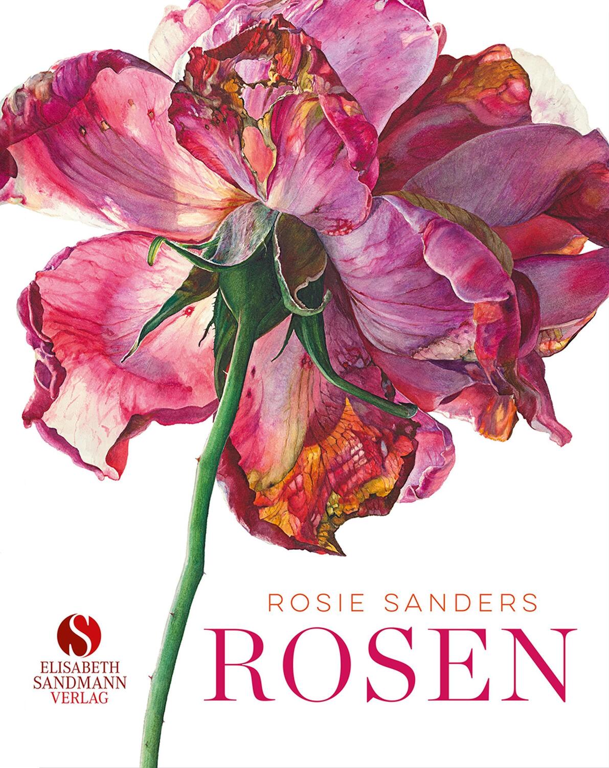 Cover: 9783945543702 | Rosen | Meisterin der Blumenkunst | Rosie Sanders | Buch | 144 S.