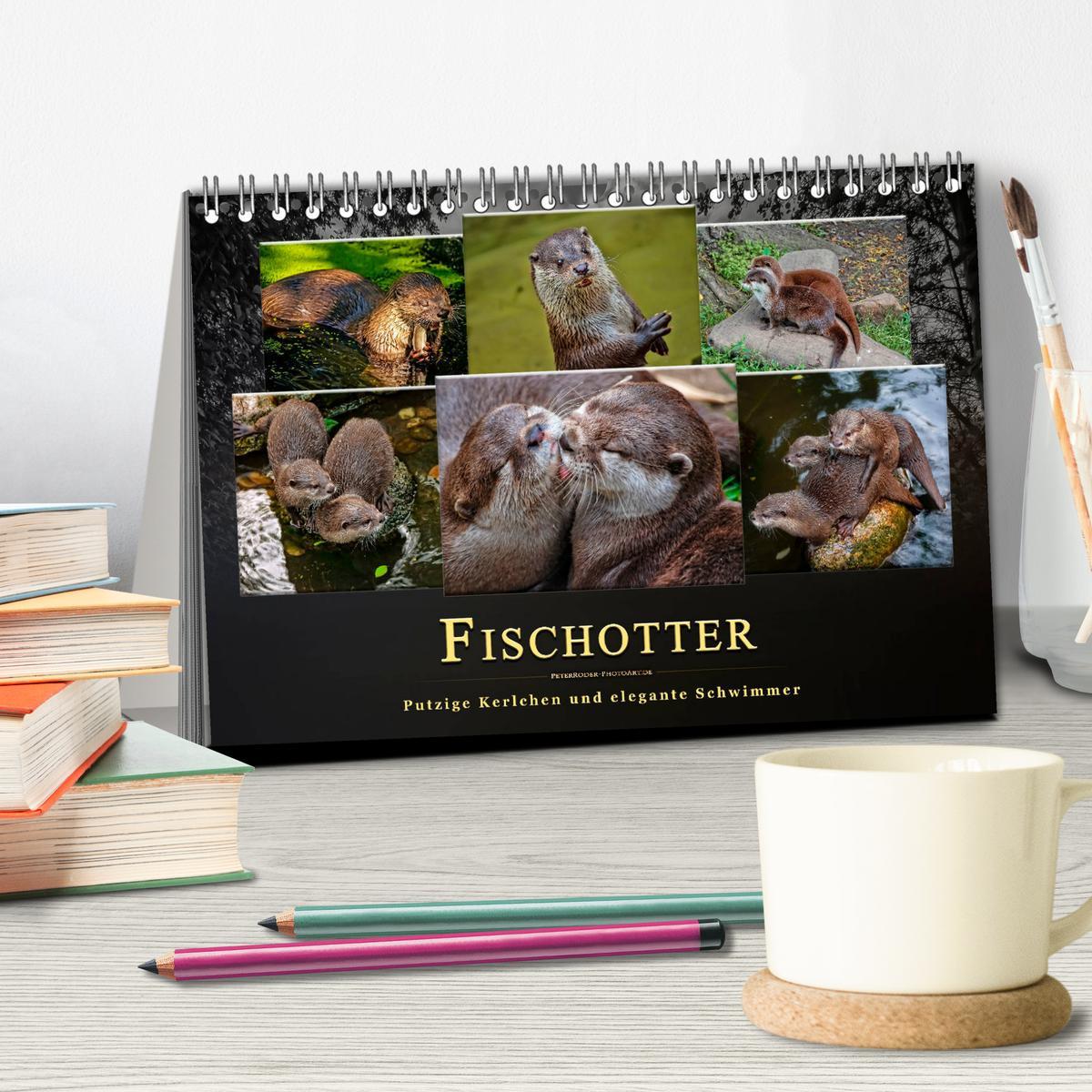 Bild: 9783435375851 | Fischotter - putzige Kerlchen und elegante Schwimmer (Tischkalender...