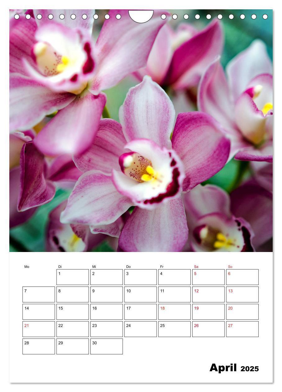 Bild: 9783435977833 | Orchideen - Tropische Schönheiten (Wandkalender 2025 DIN A4 hoch),...