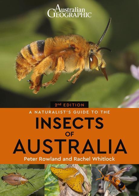 Cover: 9781913679262 | A Naturalist's Guide to the Insects of Australia | Peter Rowland