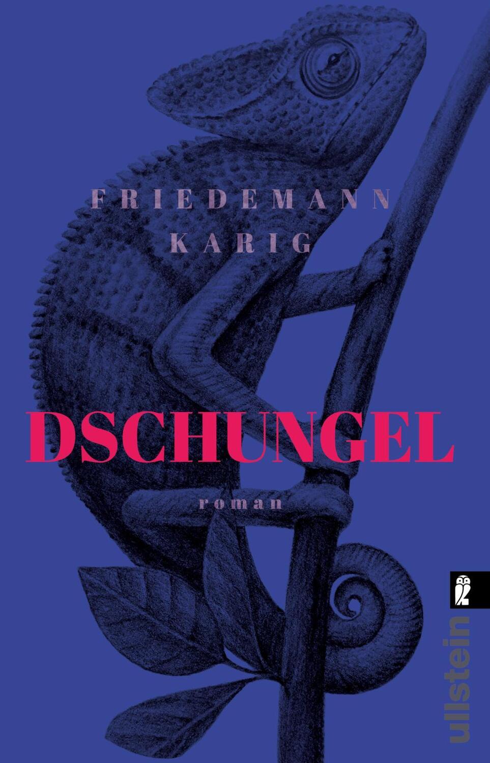 Cover: 9783548062365 | Dschungel | Roman | Friedemann Karig | Taschenbuch | 384 S. | Deutsch
