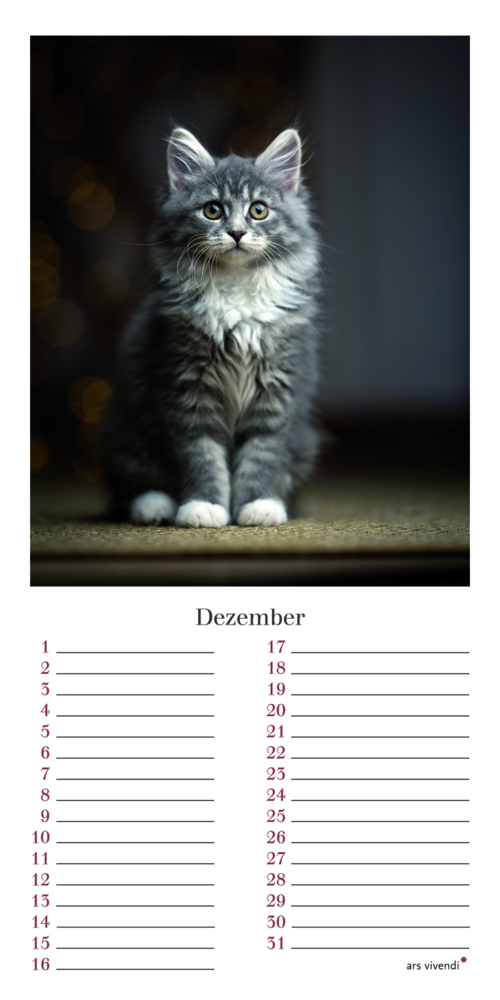 Bild: 9783747203958 | Geburtstagskalender Katzen | Immerwährender Kalender | Verlag | 12 S.