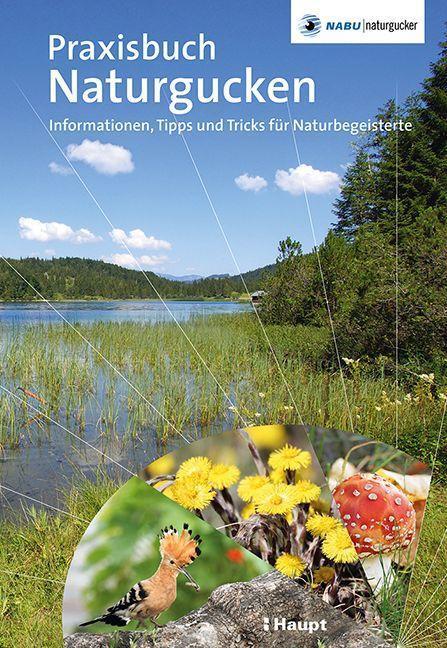 Cover: 9783258082660 | Praxisbuch Naturgucken | Stefan Munzinger (u. a.) | Buch | Deutsch
