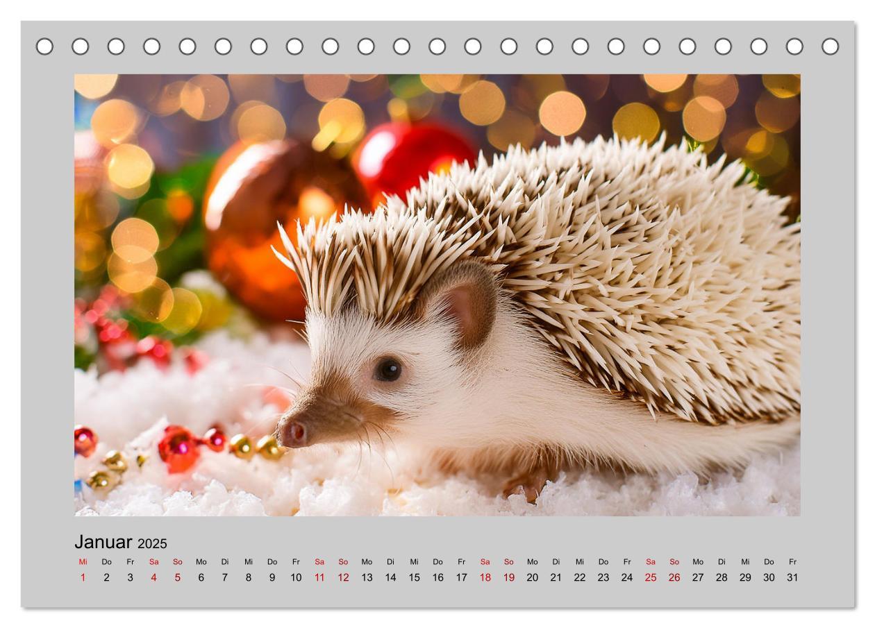 Bild: 9783435516230 | Mein Igel-Kalender (Tischkalender 2025 DIN A5 quer), CALVENDO...