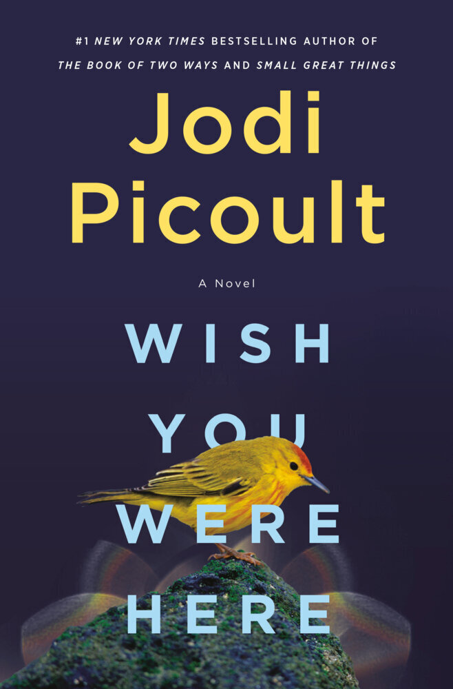 Cover: 9780593497203 | Wish You Were Here | A Novel | Jodi Picoult | Taschenbuch | Englisch