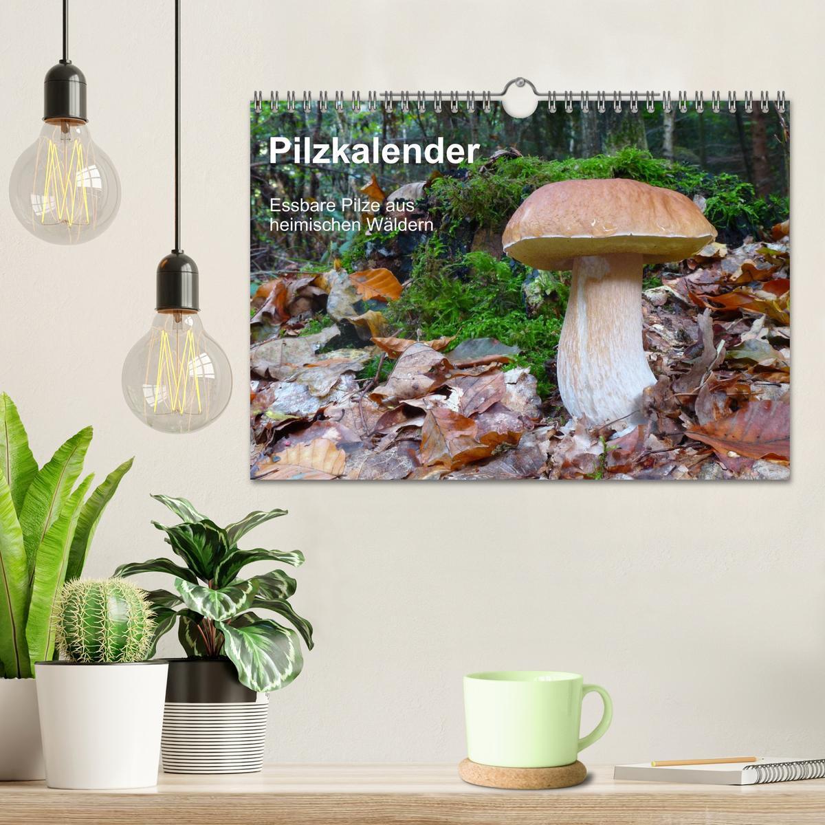 Bild: 9783435740826 | Pilzkalender (Wandkalender 2025 DIN A4 quer), CALVENDO Monatskalender