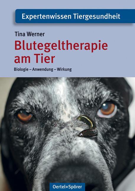 Blutegeltherapie am Tier - Werner, Tina