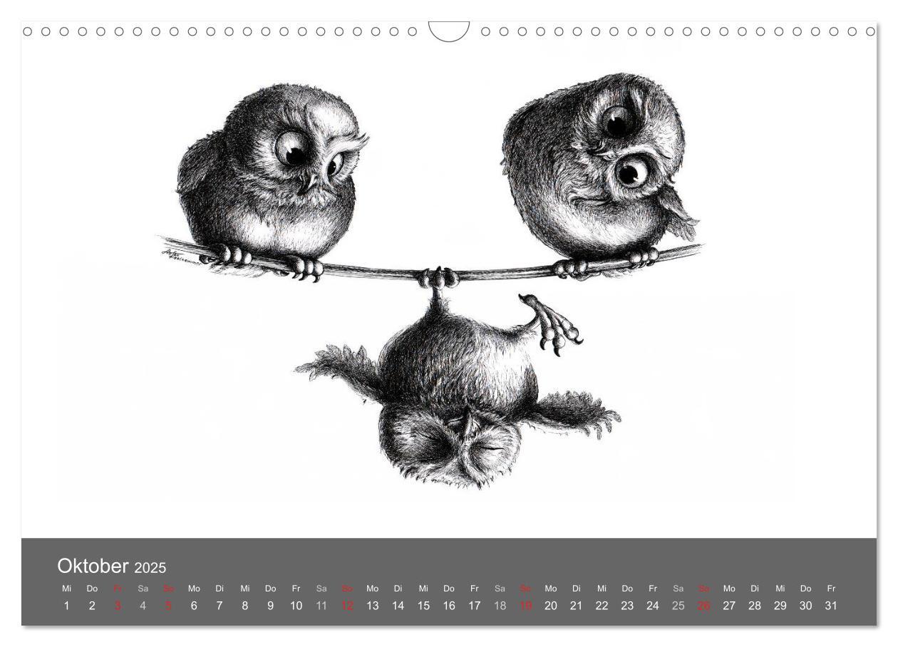 Bild: 9783435824830 | owls &amp; friends 2025 (Wandkalender 2025 DIN A3 quer), CALVENDO...