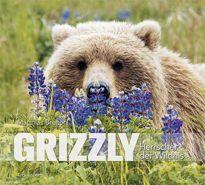 Cover: 9783944327600 | Grizzly | Herrscher der Wildnis | Matthias Breiter | Buch | Deutsch