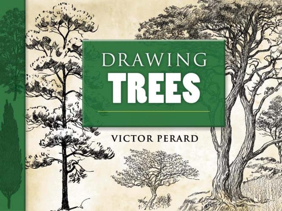 Cover: 9780486460345 | Drawing Trees | Victor Perard | Taschenbuch | Dover Art Instruction