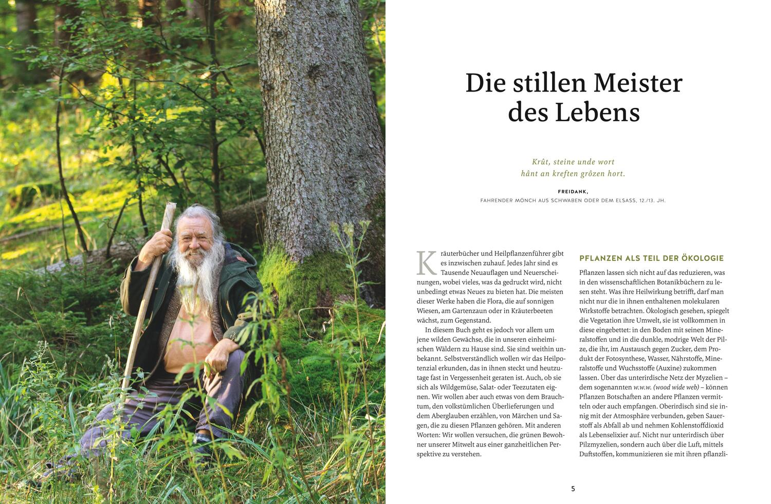 Bild: 9783833877841 | Meine Kräuter des Waldes | Wolf-Dieter Storl | Buch | GU Garten extra