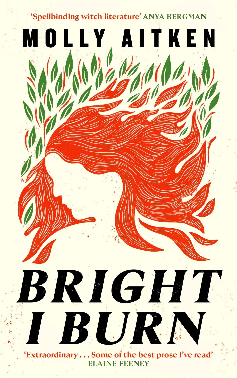 Cover: 9781786898388 | Bright I Burn | Molly Aitken | Buch | Englisch | 2024