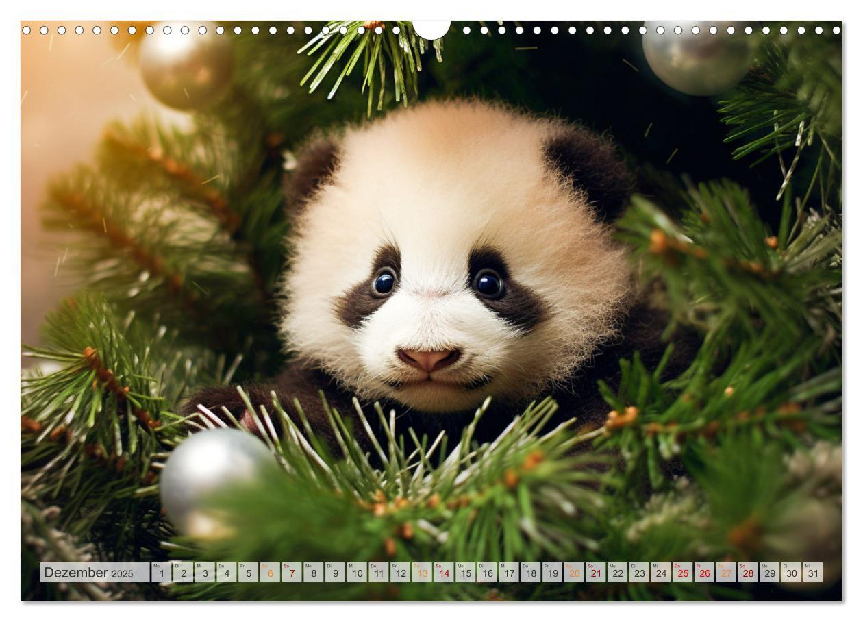 Bild: 9783383893636 | Die Abenteuer des kleinen Panda (Wandkalender 2025 DIN A3 quer),...