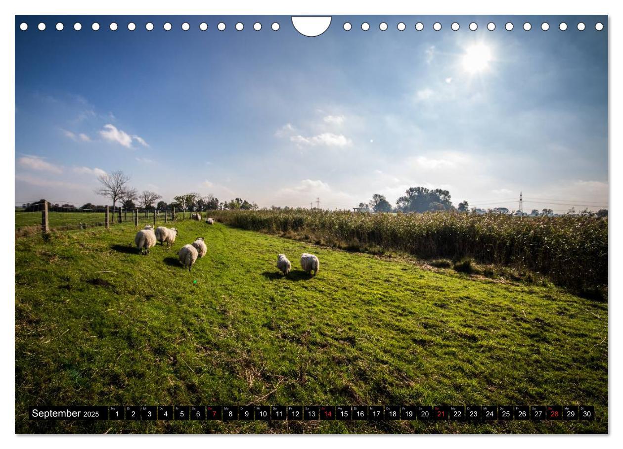 Bild: 9783435730773 | Schönes Ostfriesland (Wandkalender 2025 DIN A4 quer), CALVENDO...