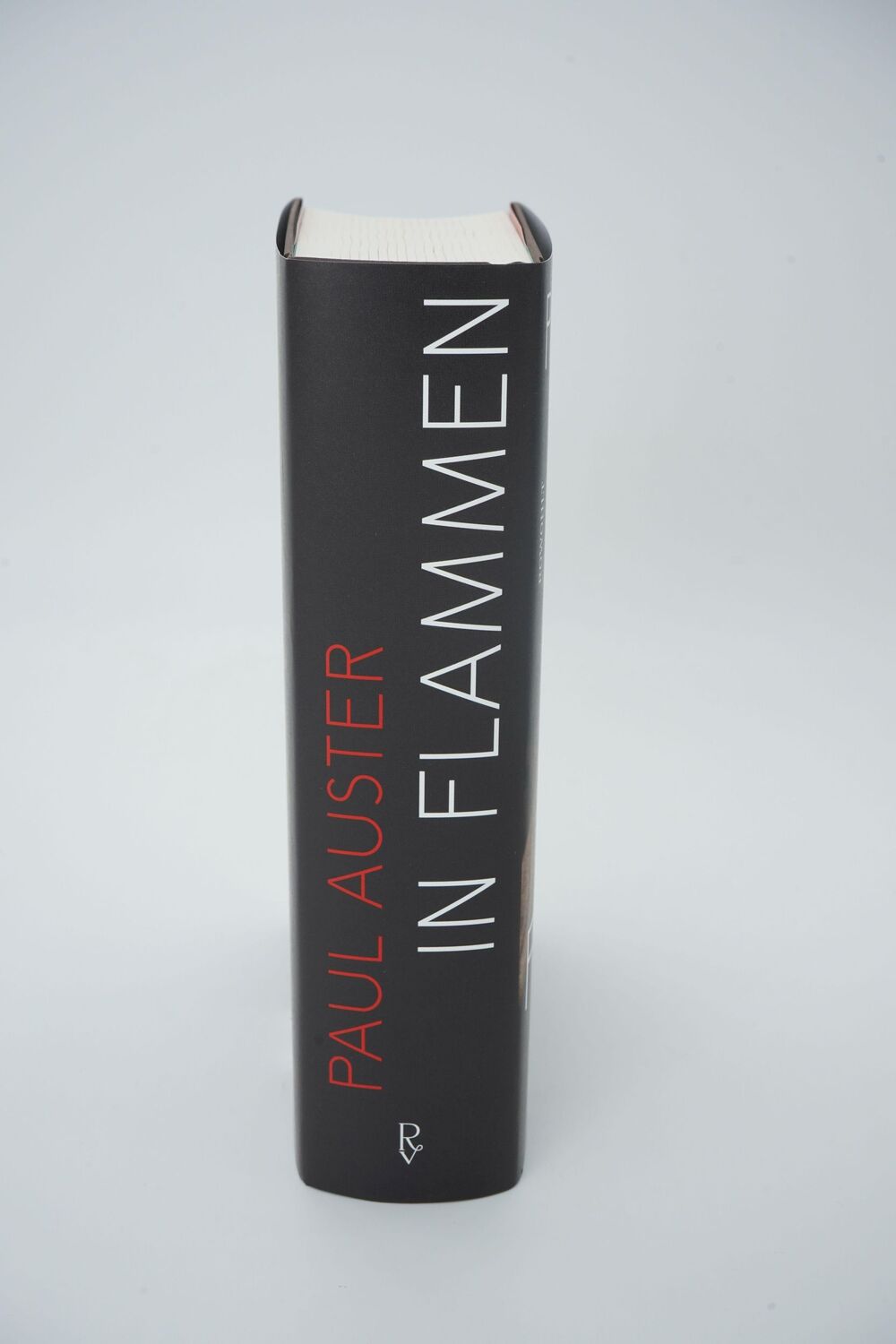 Bild: 9783498001674 | In Flammen | Leben und Werk von Stephen Crane | Paul Auster | Buch