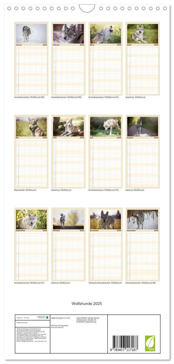 Bild: 9783457117187 | Familienplaner 2025 - Wolfshunde 2025 mit 5 Spalten (Wandkalender,...