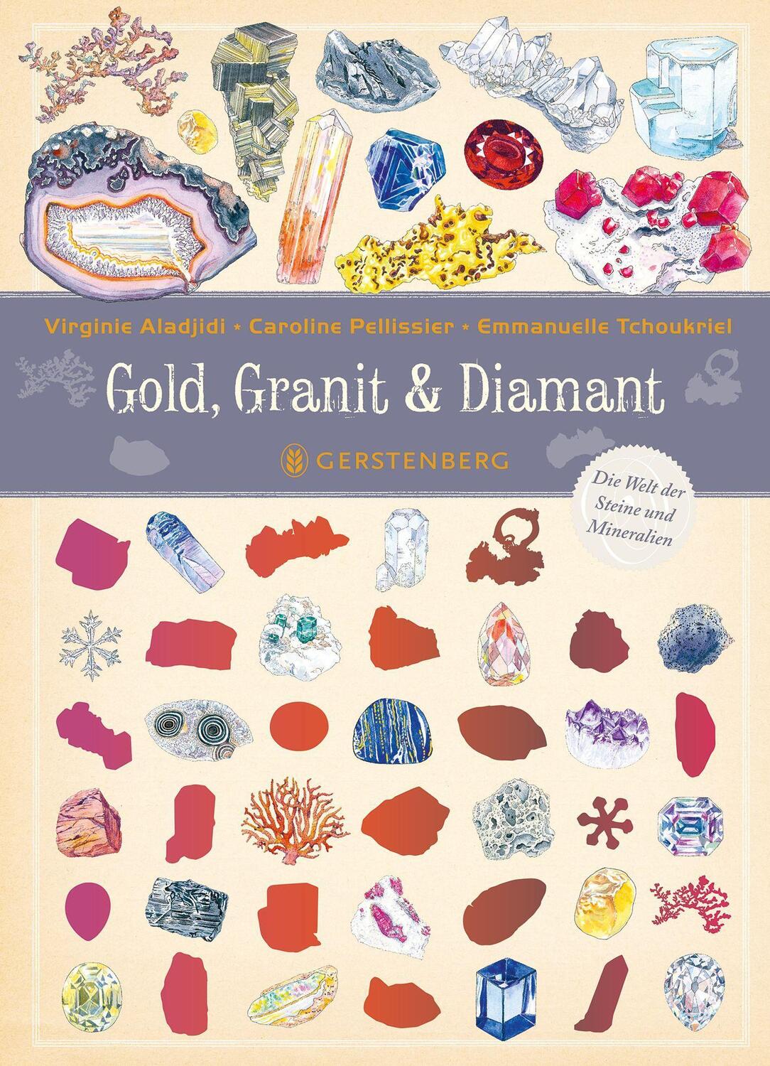 Cover: 9783836962278 | Gold, Granit &amp; Diamant | Die Welt der Steine und Mineralien | Aladjidi