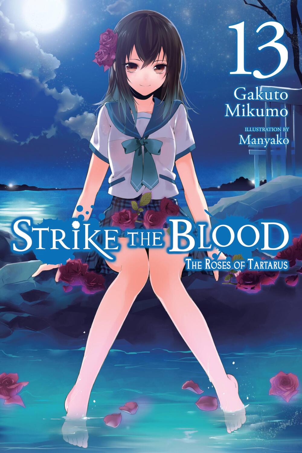 Cover: 9781975384838 | Strike the Blood, Vol. 13 (light novel) | Gakuto Mikumo | Taschenbuch