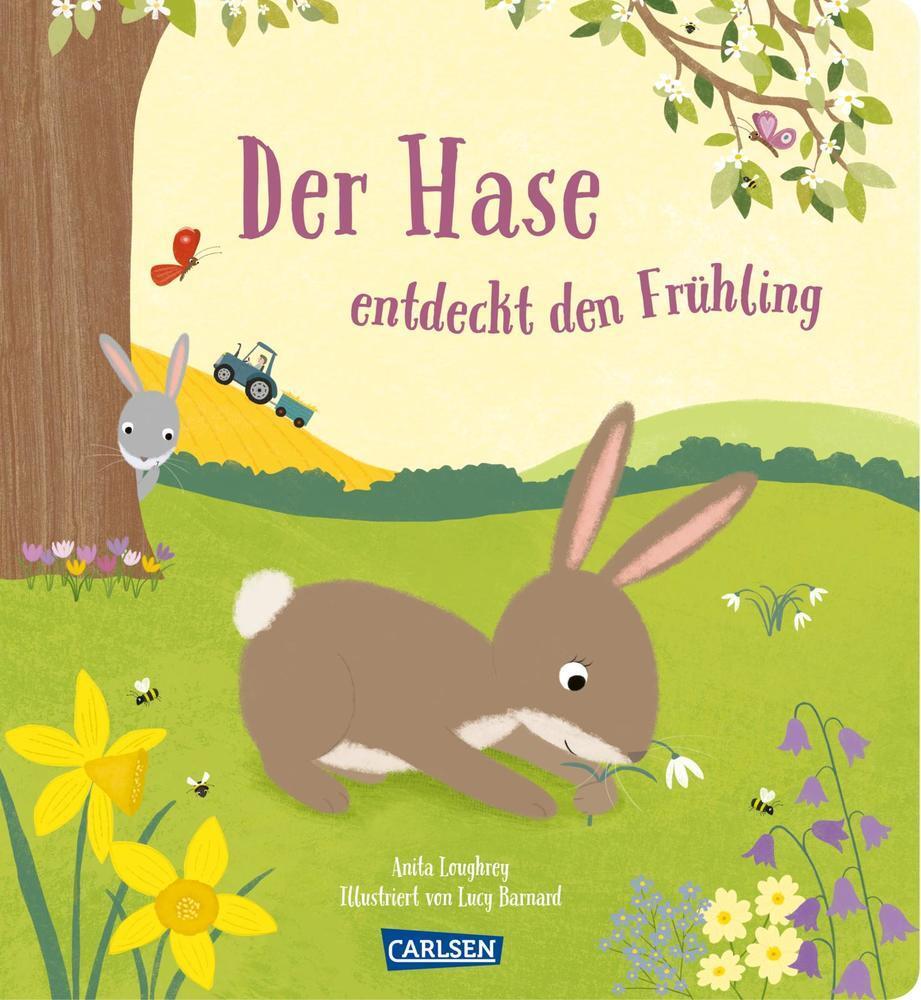 Cover: 9783551172662 | Der Hase entdeckt den Frühling | Anita Loughrey | Buch | 26 S. | 2021