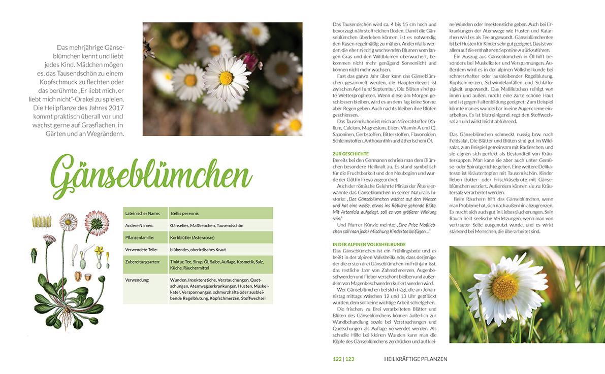 Bild: 9783702242725 | Heilkräuter aus den Alpen | Michaela Thöni-Kohler | Buch | 272 S.