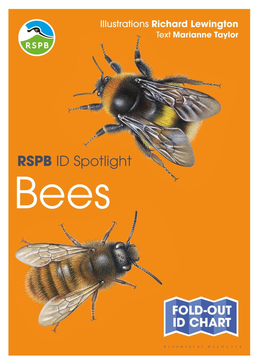 Cover: 9781472974273 | RSPB ID Spotlight - Bees | Marianne Taylor | Stück | Englisch | 2020