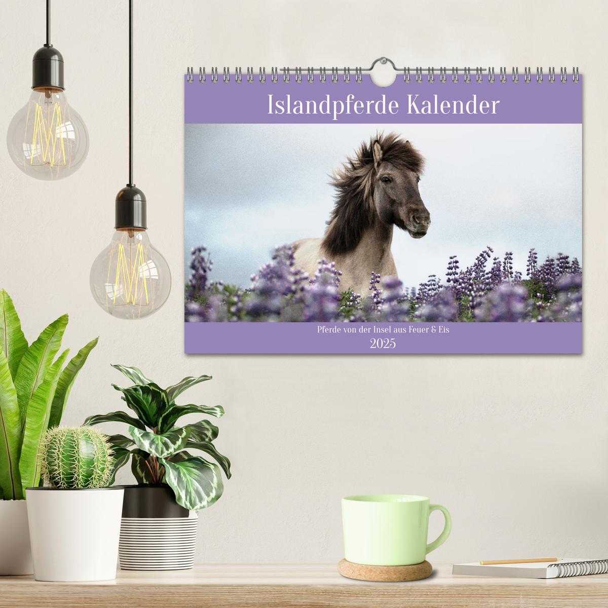 Bild: 9783383934476 | Islandpferde Kalender (Wandkalender 2025 DIN A4 quer), CALVENDO...