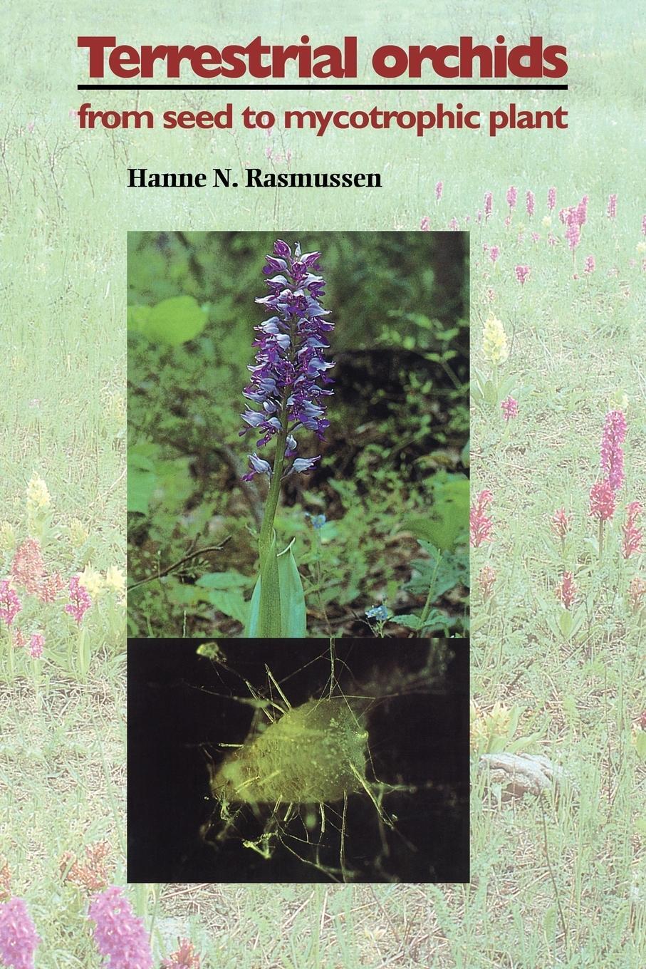 Cover: 9780521048811 | Terrestrial Orchids | From Seed to Mycotrophic Plant | Rasmussen