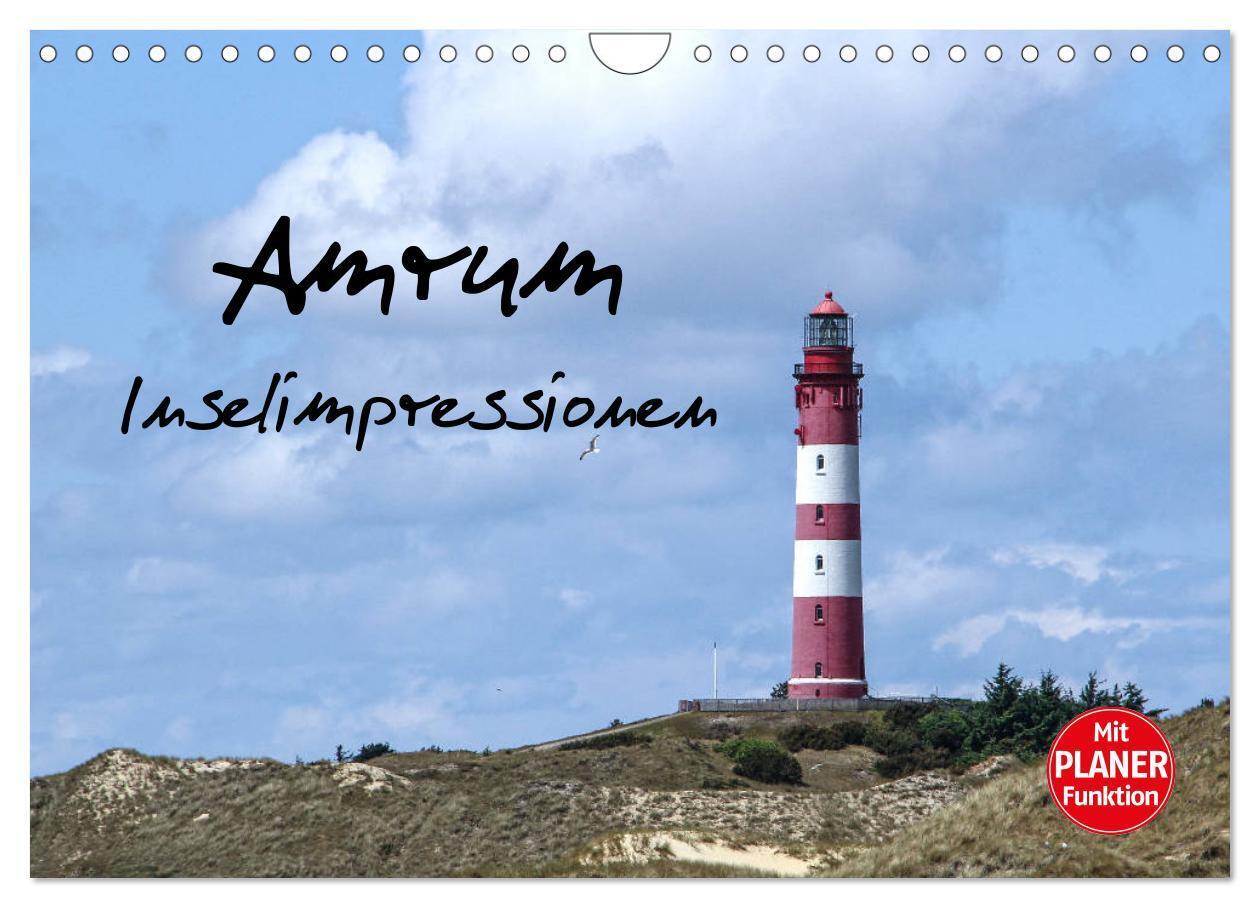 Cover: 9783383343650 | Amrum - Inselimpressionen (Wandkalender 2024 DIN A4 quer), CALVENDO...