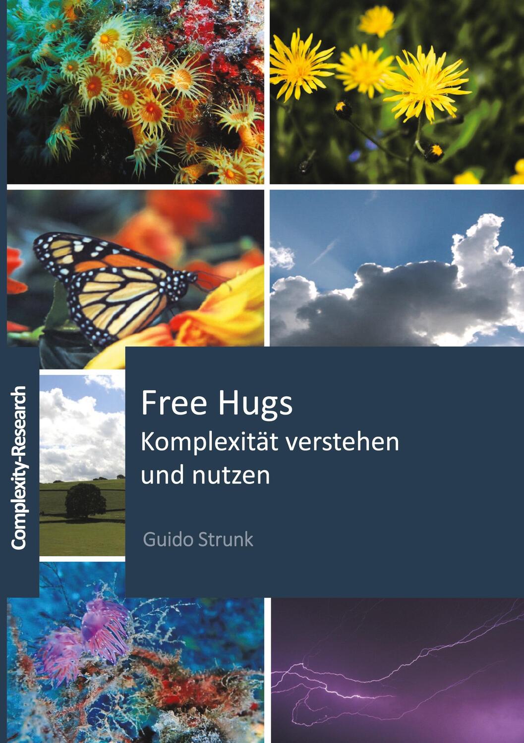 Cover: 9783903291010 | Free Hugs | Komplexität verstehen und nutzen | Guido Strunk | Buch