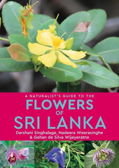 Cover: 9781912081554 | A Naturalist's Guide to the Flowers of Sri Lanka | Singhalage (u. a.)