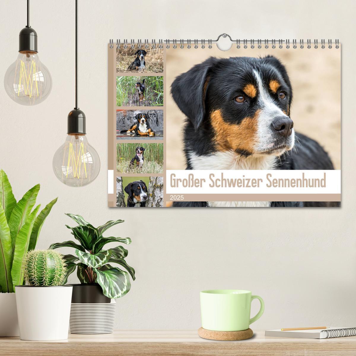 Bild: 9783435333349 | Großer Schweizer Sennenhund (Wandkalender 2025 DIN A4 quer),...