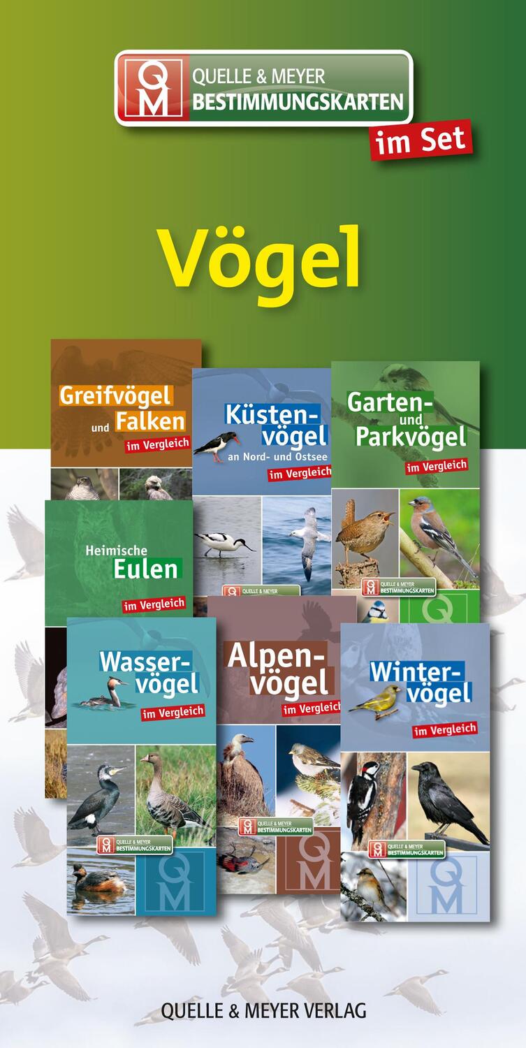 Cover: 9783494017778 | Bestimmungskarten-Set "Vögel" | Stück | Deutsch | 2018