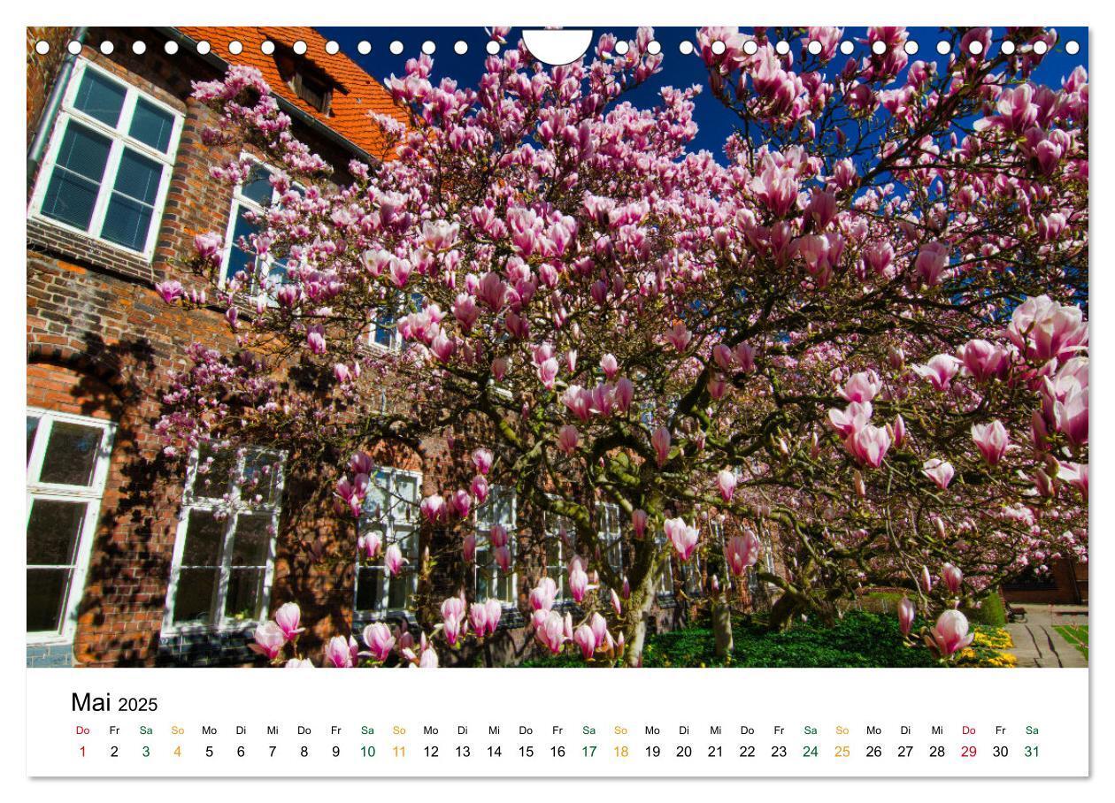 Bild: 9783435052868 | Lüneburg (Wandkalender 2025 DIN A4 quer), CALVENDO Monatskalender