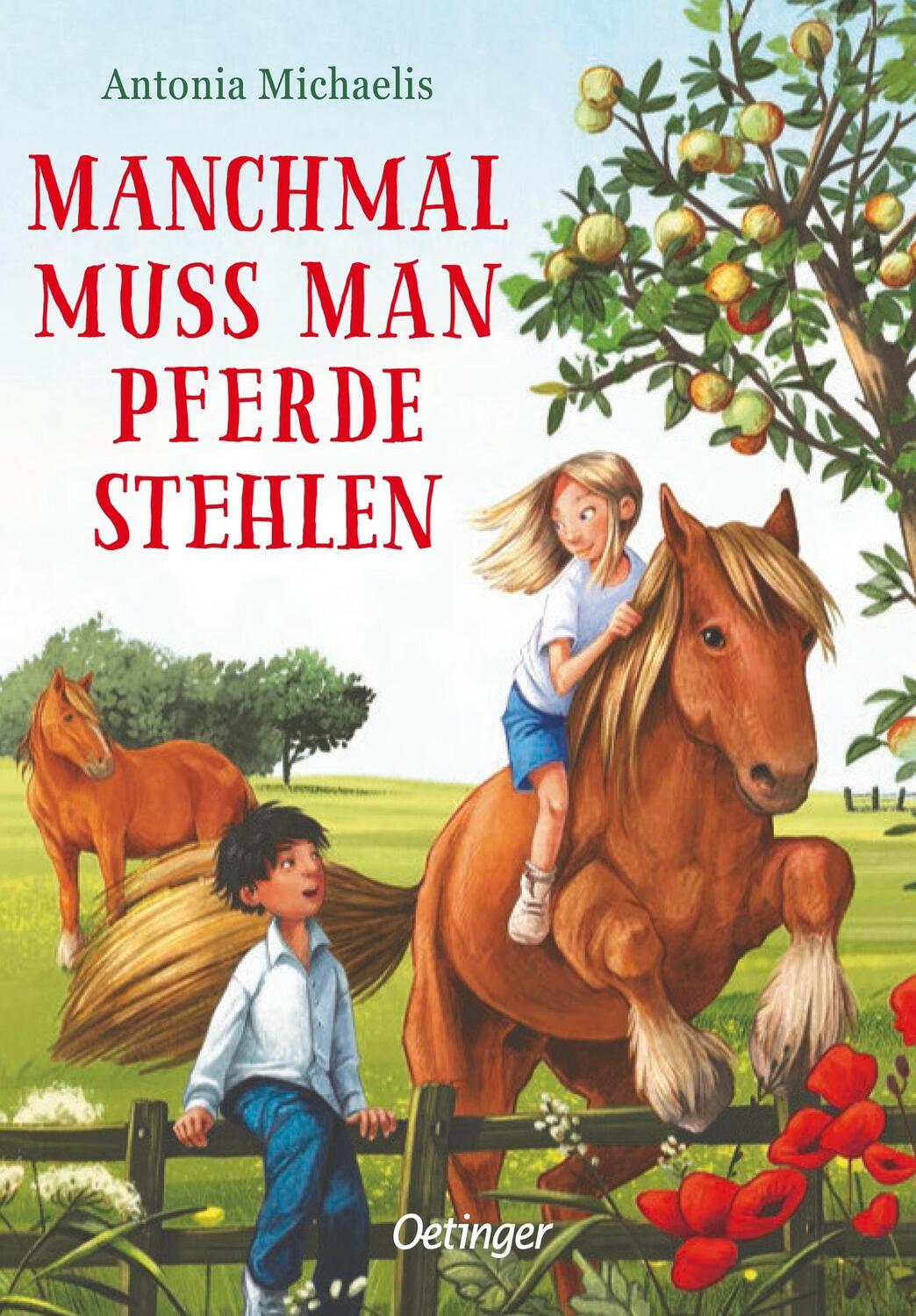 Cover: 9783751200288 | Manchmal muss man Pferde stehlen | Antonia Michaelis | Buch | 285 S.