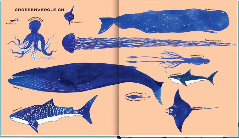Bild: 9783649644255 | Die geheime Welt der Wale | Ein Sachbilderbuch | Rena Ortega | Buch