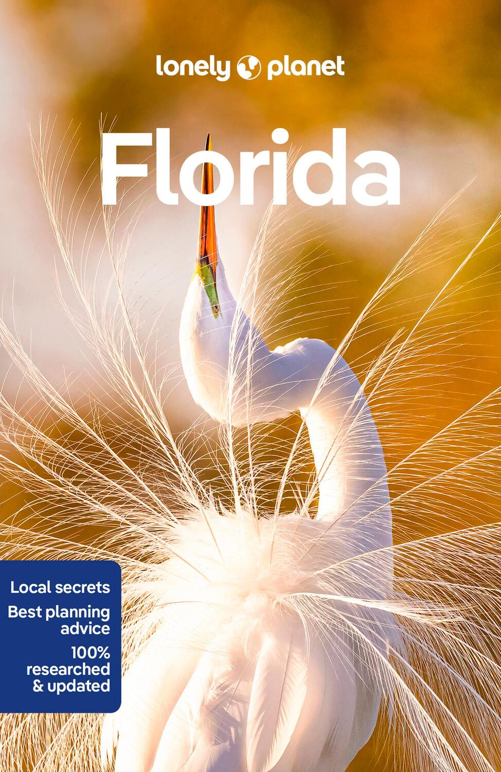 Cover: 9781838697785 | Lonely Planet Florida | Anthony Ham (u. a.) | Taschenbuch | Englisch