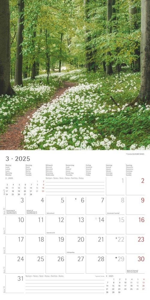 Bild: 4251732340919 | Alpha Edition - Wege 2025 Broschürenkalender, 30x30cm, Wandkalender...