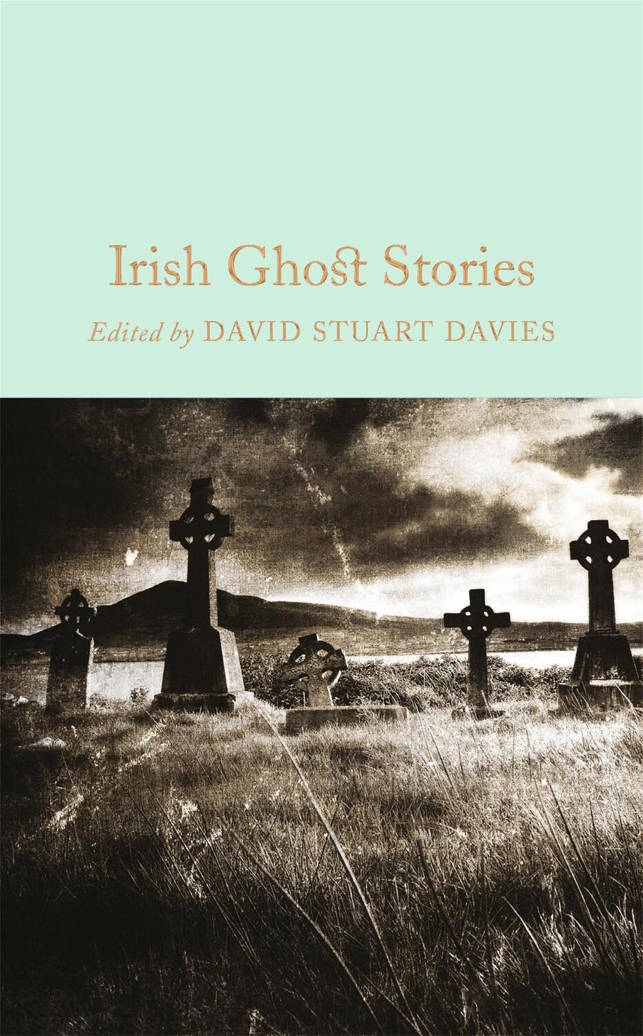 Cover: 9781509826612 | Irish Ghost Stories | David Stuart Davies | Buch | Englisch | 2016