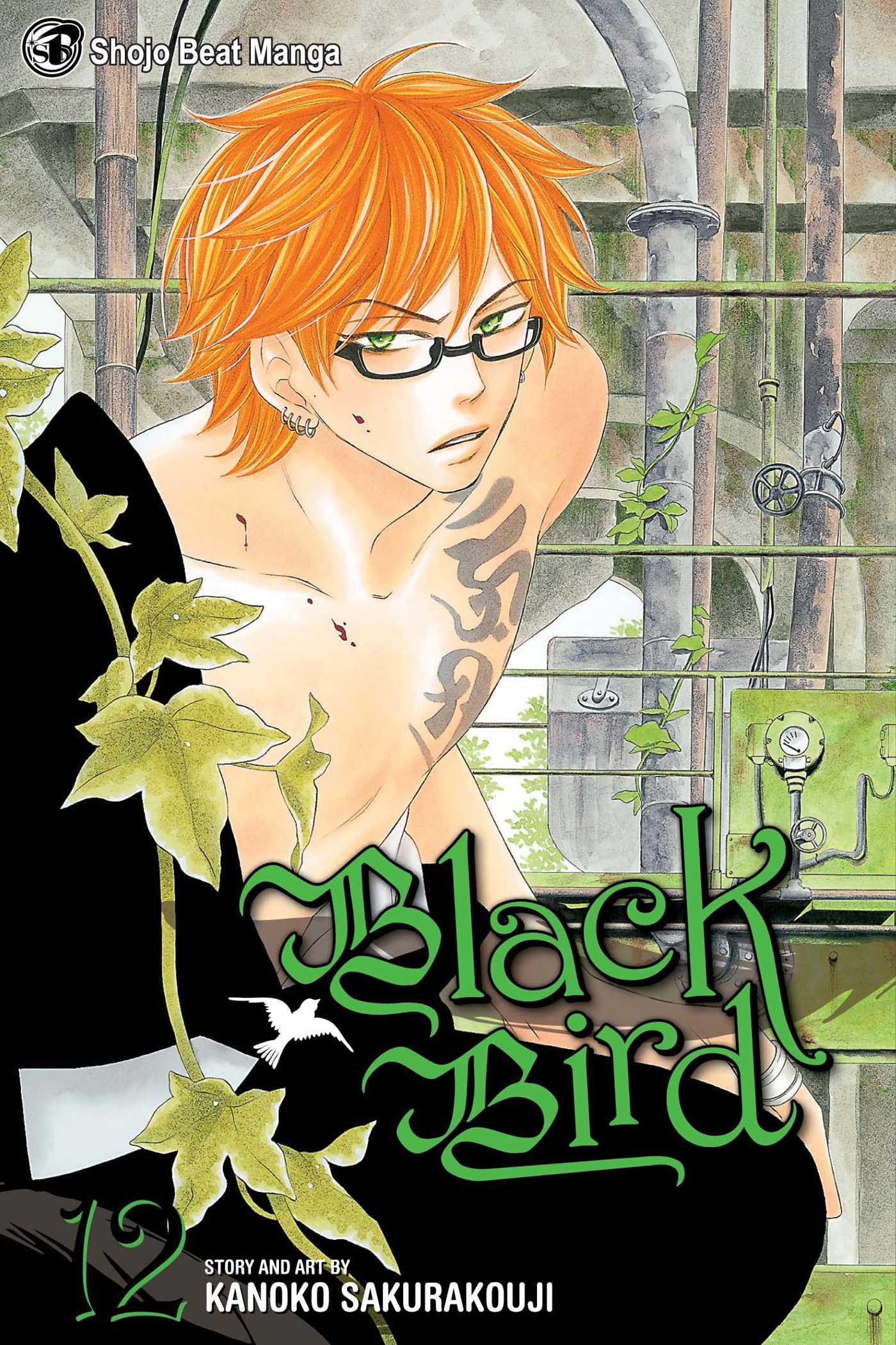 Cover: 9781421540528 | Black Bird, Volume 12 | Kanoko Sakurakouji | Taschenbuch | Englisch